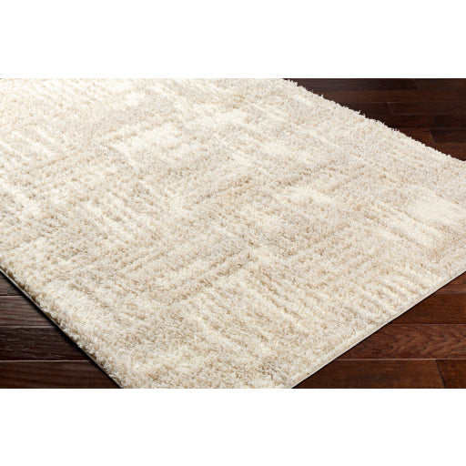 Surya Everton Plus EVP-2319 Ivory Modern Machinemade Rug
