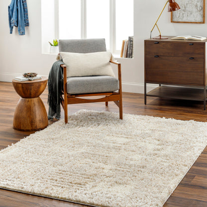 Surya Everton Plus EVP-2319 Ivory Modern Machinemade Rug