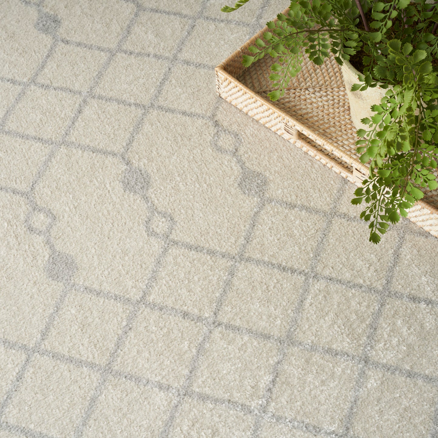 Nourison Home Astra Machine Washable  Ivory  Transitional