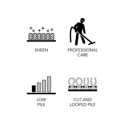 Feizy Sarrant  Smoke  Transitional/Casual/Bohemian & Eclectic