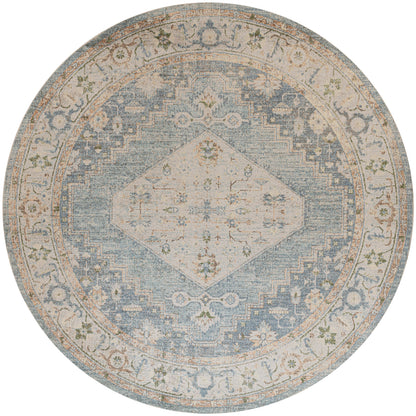 Nourison Home Astra Machine Washable ASW11 Silver Blue Traditional Power-loomed Rug