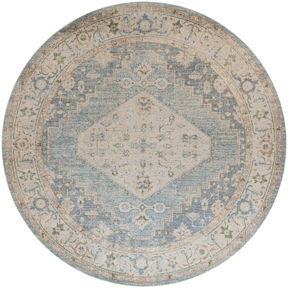 Nourison Home Astra Machine Washable ASW11 Silver Blue Traditional Power-loomed Rug