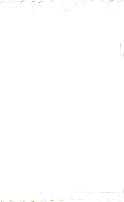 Nourison Home Rio Vista DST01 Ivory Green Contemporary Woven Rug