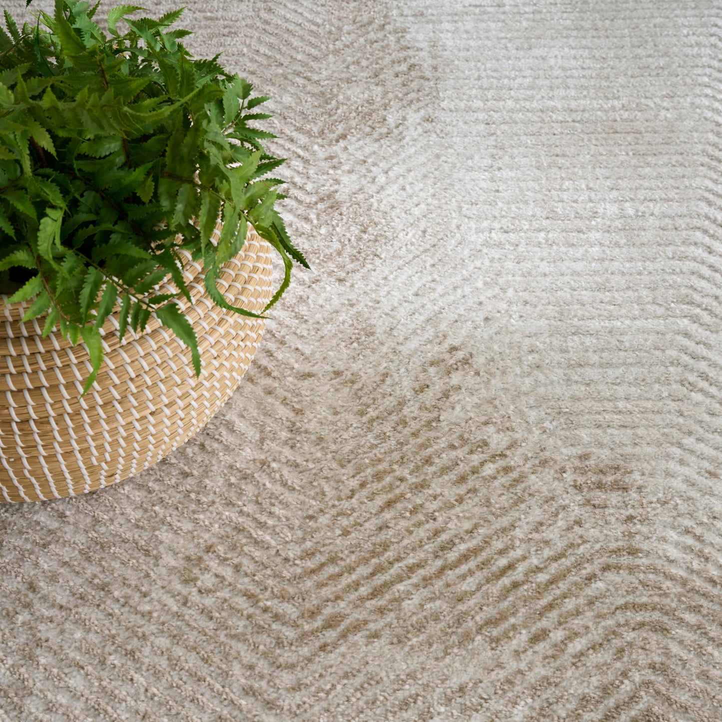 Nourison Home Dekor  Ivory Taupe  Contemporary