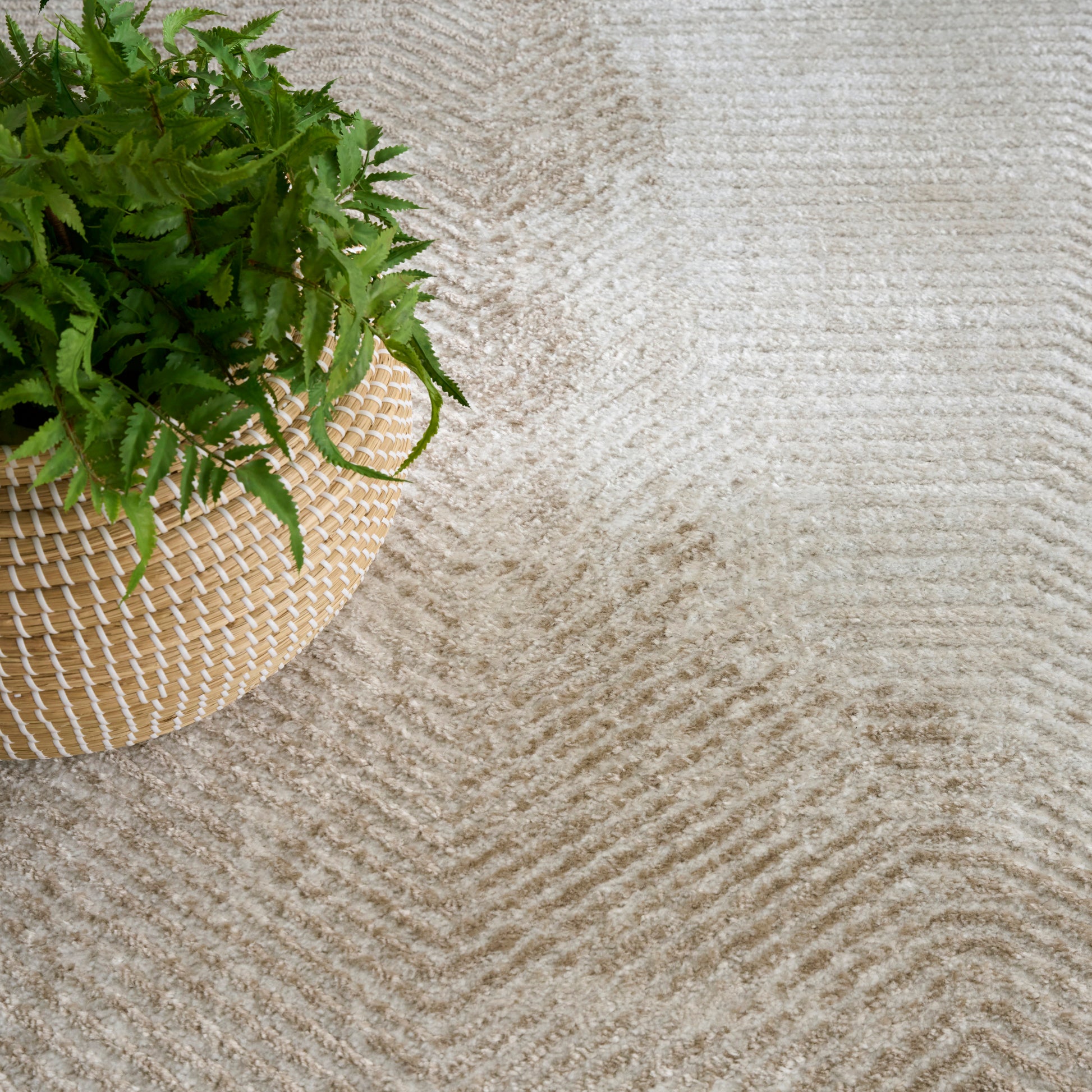 Nourison Home Dekor  Ivory Taupe  Contemporary
