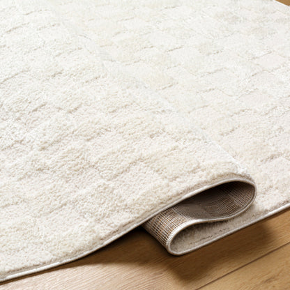 Surya Freud FEU-2306 Off-White Modern Machinemade Rug