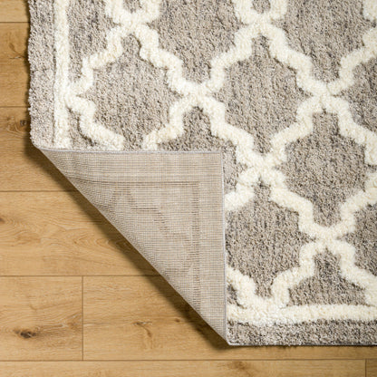 Surya Florida FLD-2300 Oatmeal Global Machinemade Rug