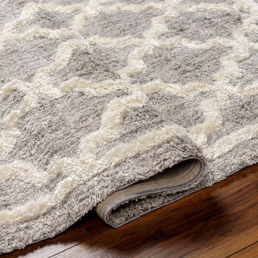 Surya Florida FLD-2301 Oatmeal Global Machinemade Rug