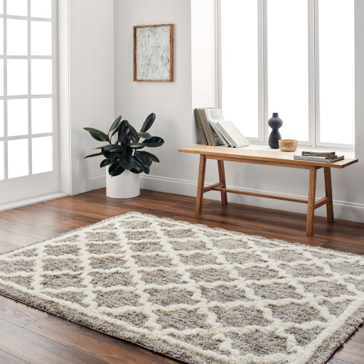 Surya Florida FLD-2301 Oatmeal Global Machinemade Rug