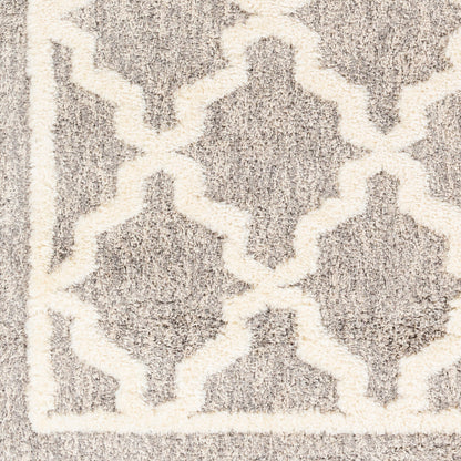 Surya Florida FLD-2301 Oatmeal Global Machinemade Rug