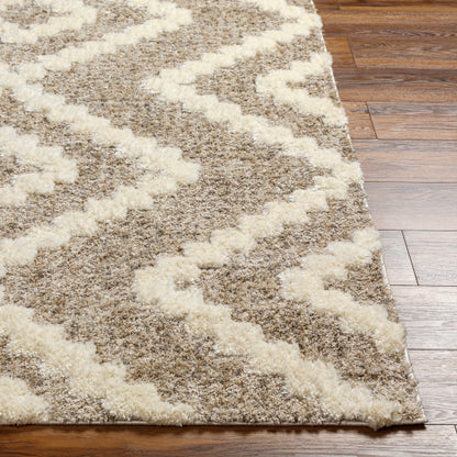 Surya Florida FLD-2303 Oatmeal Global Machinemade Rug
