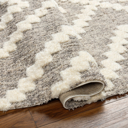 Surya Florida FLD-2304 Oatmeal Global Machinemade Rug