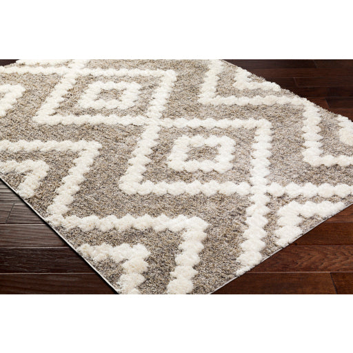 Surya Florida FLD-2305 Oatmeal Global Machinemade Rug