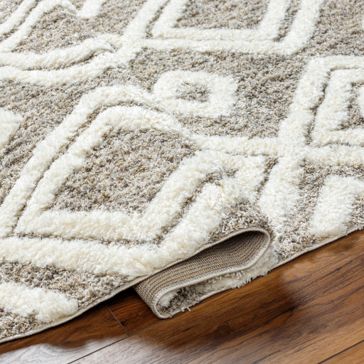 Surya Florida FLD-2307 Ivory Global Machinemade Rug