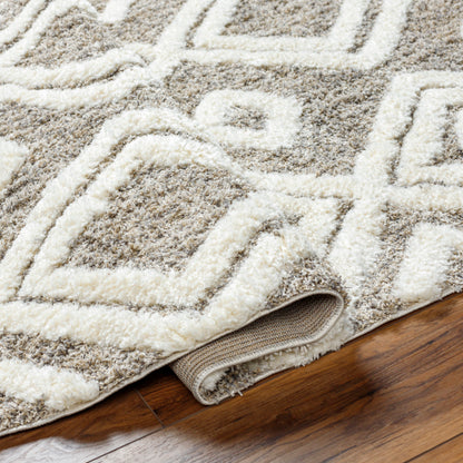 Surya Florida FLD-2307 Ivory Global Machinemade Rug