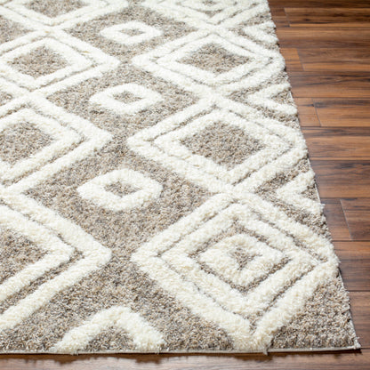 Surya Florida FLD-2307 Ivory Global Machinemade Rug