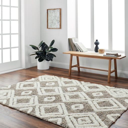 Surya Florida FLD-2307 Ivory Global Machinemade Rug