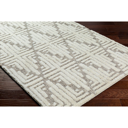 Surya Florida FLD-2309 Ivory Global Machinemade Rug
