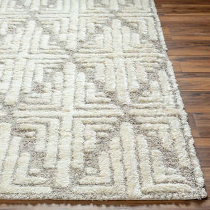Surya Florida FLD-2309 Ivory Global Machinemade Rug