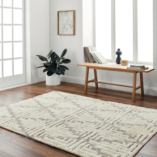 Surya Florida FLD-2309 Ivory Global Machinemade Rug