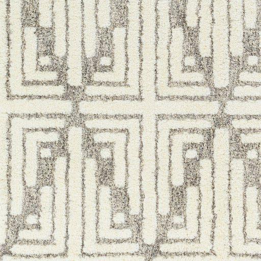 Surya Florida FLD-2309 Ivory Global Machinemade Rug