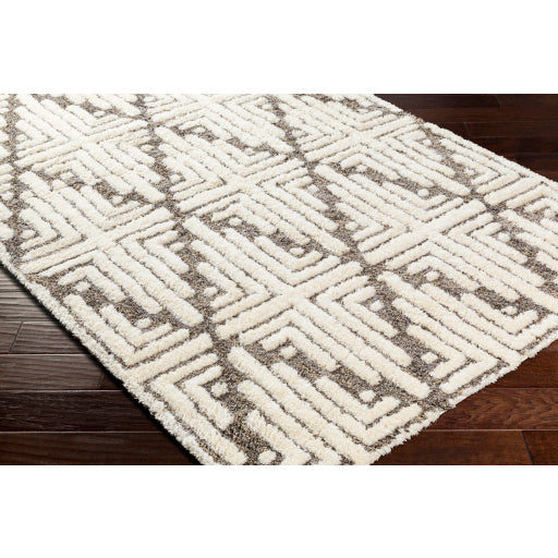 Surya Florida FLD-2310 Ivory Global Machinemade Rug