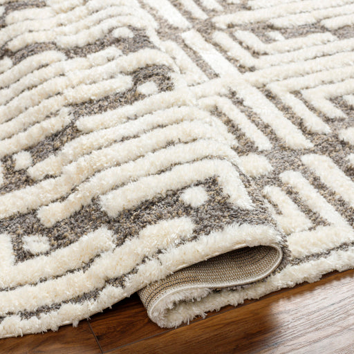 Surya Florida FLD-2310 Ivory Global Machinemade Rug