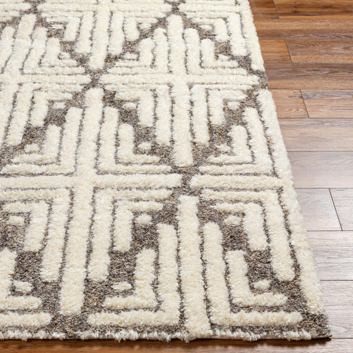 Surya Florida FLD-2310 Ivory Global Machinemade Rug