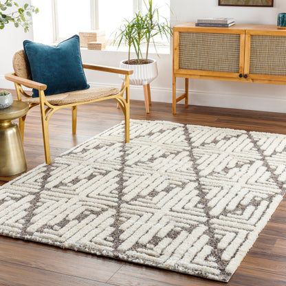 Surya Florida FLD-2310 Ivory Global Machinemade Rug