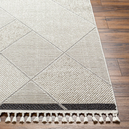 Surya Finland FND-2303 Cream Modern Machinemade Rug