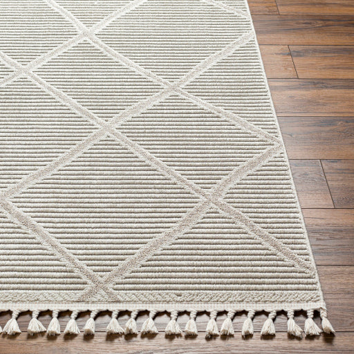 Surya Finland FND-2309 Cream Global Machinemade Rug