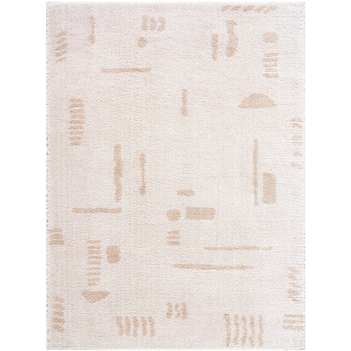 Surya Fossay Shag FSG-2301 Light Beige Modern Machinemade Rug