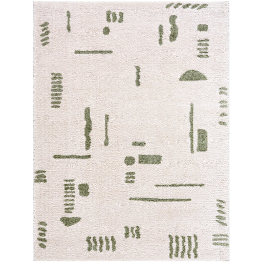 Surya Fossay Shag FSG-2302 Light Beige Modern Machinemade Rug