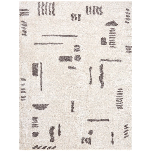 Surya Fossay Shag FSG-2303 Light Beige Modern Machinemade Rug