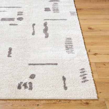Surya Fossay Shag FSG-2303 Light Beige Modern Machinemade Rug