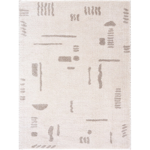 Surya Fossay Shag FSG-2304 Light Beige Modern Machinemade Rug