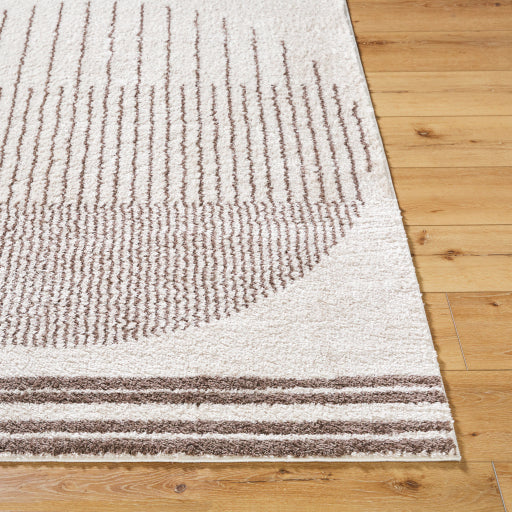 Surya Fossay Shag FSG-2305 Light Beige Global Machinemade Rug