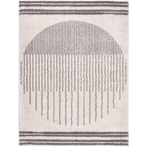 Surya Fossay Shag FSG-2308 Light Beige Global Machinemade Rug