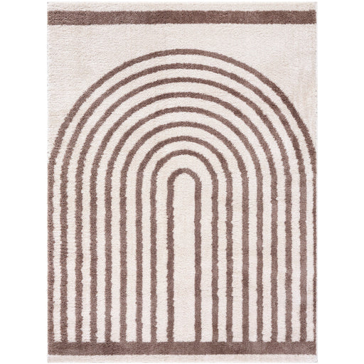 Surya Fossay Shag FSG-2310 Light Beige Modern Machinemade Rug