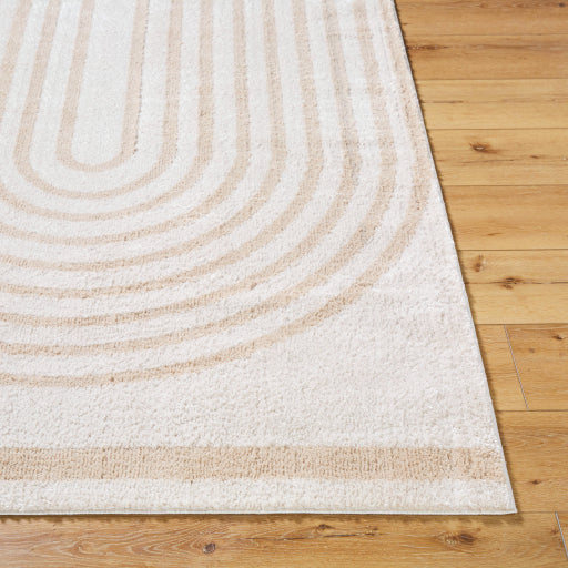 Surya Fossay Shag FSG-2311 Light Beige Modern Machinemade Rug