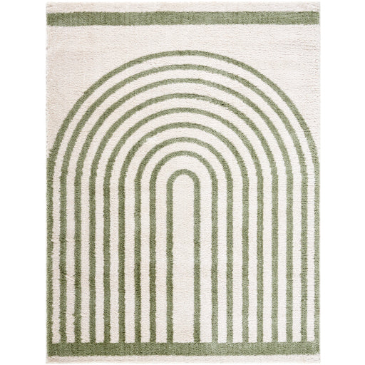 Surya Fossay Shag FSG-2312 Light Beige Modern Machinemade Rug