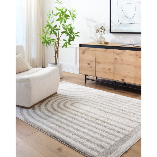 Surya Fossay Shag FSG-2313 Light Beige Modern Machinemade Rug