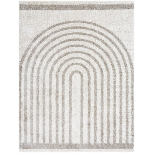 Surya Fossay Shag FSG-2313 Light Beige Modern Machinemade Rug