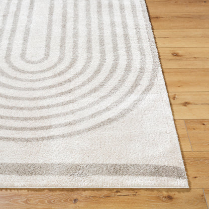 Surya Fossay Shag FSG-2313 Light Beige Modern Machinemade Rug