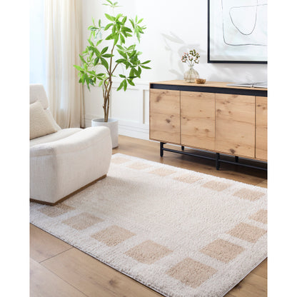 Surya Fossay Shag FSG-2314 Light Beige Modern Machinemade Rug