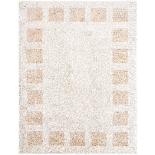 Surya Fossay Shag FSG-2314 Light Beige Modern Machinemade Rug