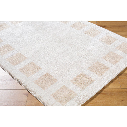 Surya Fossay Shag FSG-2314 Light Beige Modern Machinemade Rug