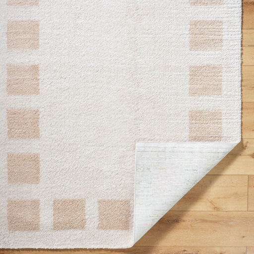 Surya Fossay Shag FSG-2314 Light Beige Modern Machinemade Rug