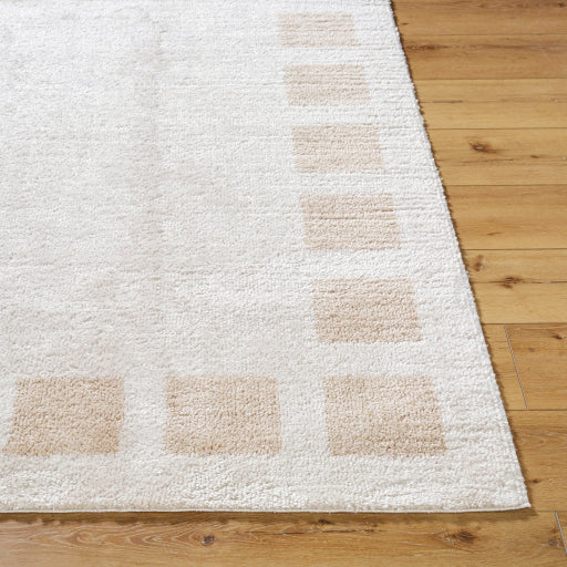 Surya Fossay Shag FSG-2314 Light Beige Modern Machinemade Rug