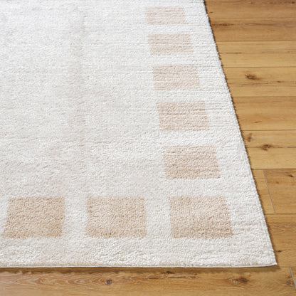 Surya Fossay Shag FSG-2314 Light Beige Modern Machinemade Rug